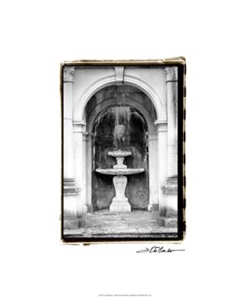 Fountainhead by Laura Denardo art print