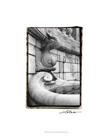 Fountain Fishes by Laura Denardo art print