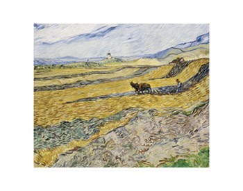 Enclosed Field with Ploughman by Vincent Van Gogh art print