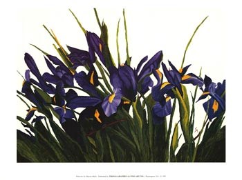 Wild Iris by Sharon Mack art print