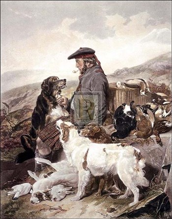 Scotch Gamekeeper Pm by Richard Hall art print