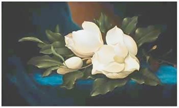 Magnolias by Paul Cordsen art print