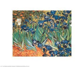 Iris Garden by Vincent Van Gogh art print