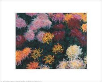 Chrysanthemum, 1897 by Claude Monet art print