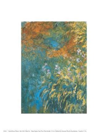 Yellow Iris by Claude Monet art print