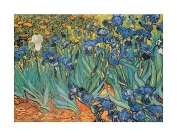 Garden Of Irises by Vincent Van Gogh art print