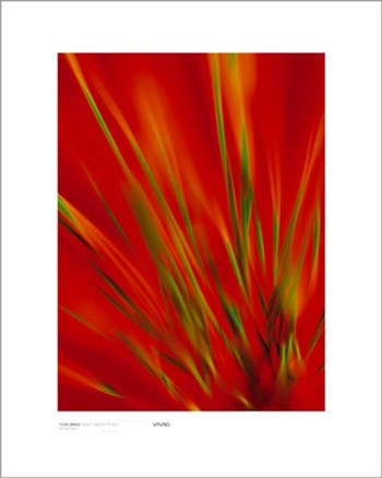 Flexi Grass, Bright Green On Red by Michael Banks art print