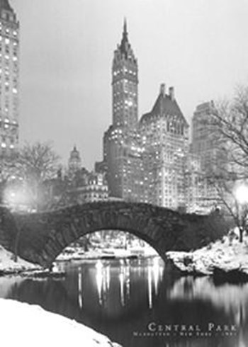 Central Park, 1961 art print