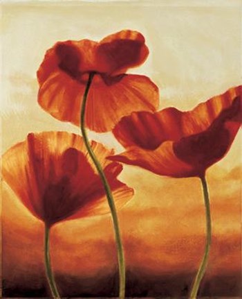 Poppies In Sunlight II by Andrea Kahn art print