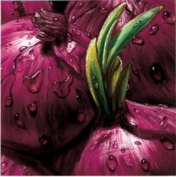 Onions art print