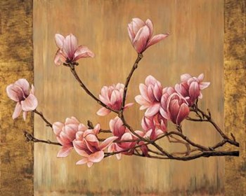 Pink Magnolias by T.L. Lange art print