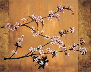 Cherry Blossoms by T.L. Lange art print