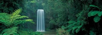 Millaa Millaa Falls, Queensland, Austral art print