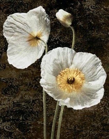 Poppies I by John Seba art print