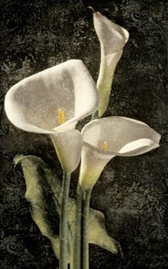 Callas I by John Seba art print