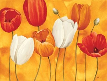 Festa Di Tulipani by Maria Grazia Luffarelli art print