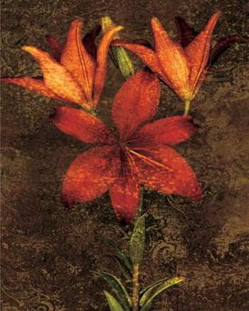 Red Lilies by John Seba art print