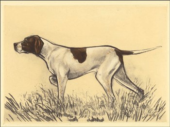 Hunting Dogs-Pointer by Andres Collot art print
