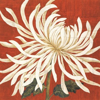 Spider Mum I by Judy Shelby art print