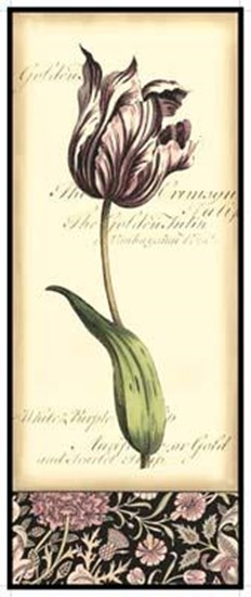 Baroque Tulip In Pink I art print