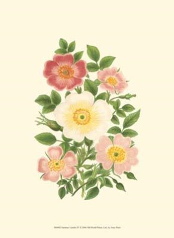 Summer Garden IV by Anne Pratt art print