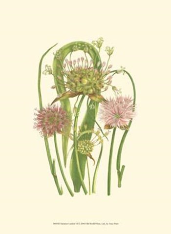 Summer Garden VI by Anne Pratt art print