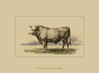 Antique Cow I by Julian Bien art print