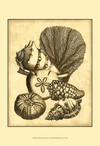 Neutral Shell Coral Collection I art print
