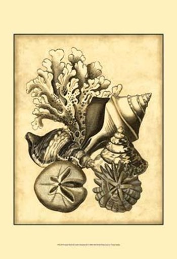 Neutral Shell Coral Collection II art print