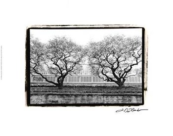 Conservatory II by Laura Denardo art print