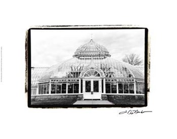 Conservatory III by Laura Denardo art print