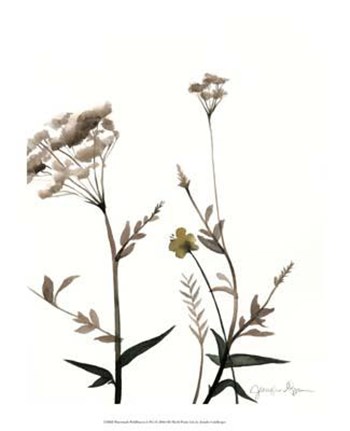 Watermark Wildflowers I by Jennifer Goldberger art print