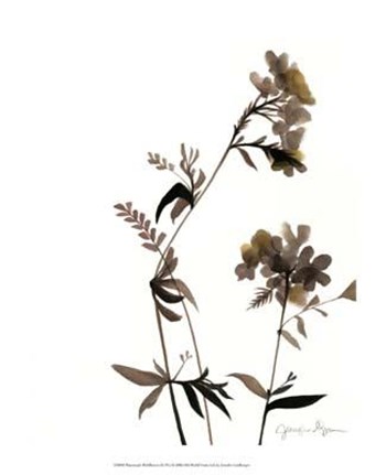 Watermark Wildflowers II by Jennifer Goldberger art print