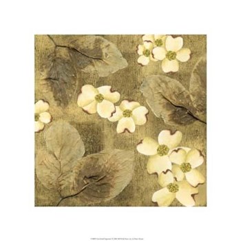 Sun-Kissed Dogwoods I by Nancy Slocum art print