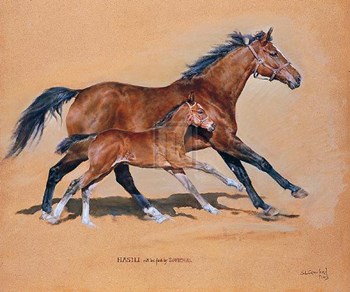 Hasili with Foal by Susan Crawford art print