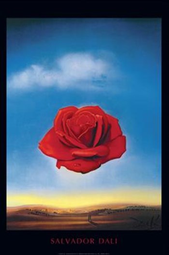 Meditative Rose, c.1958 by Salvador Dali art print