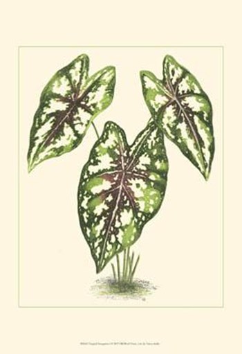 Tropical Variegation I by Vision Studio art print