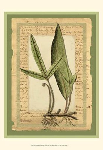 Woodland Scrapbook IV by Vision Studio art print