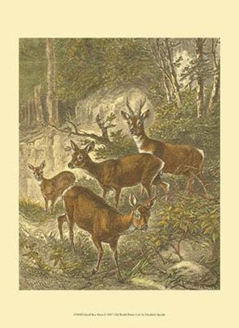 Small Roe Deer by Friedrich Specht art print