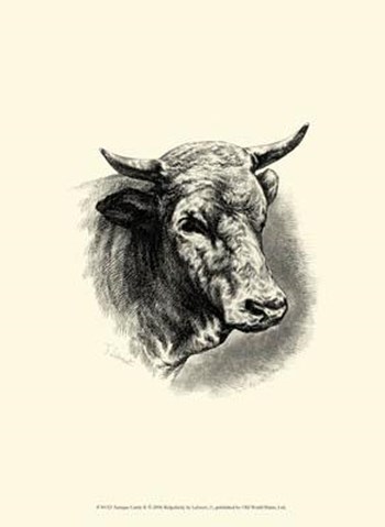 Antique Cattle II by F Lehnert art print