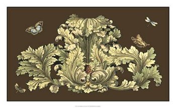 Nature&#39;s Splendor On Chocolate I by Michelangelo Pergolesi art print