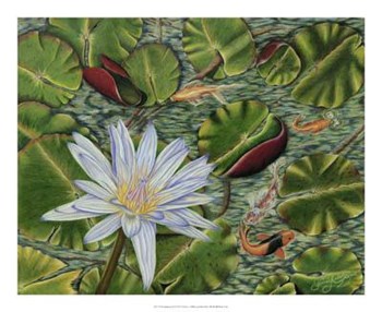 Enchanting Lily by Gloria j. Callahan art print