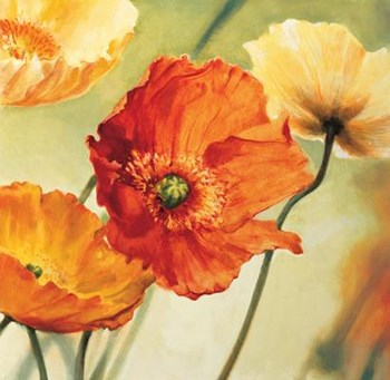 Champs De Coquelicots II by Pierre Viollet art print