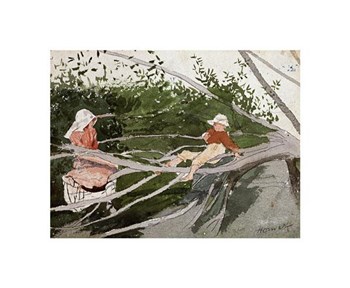 Out On A Limb by Winslow Homer art print