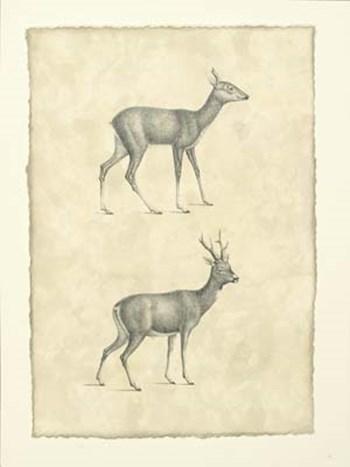 Vintage Deer I art print