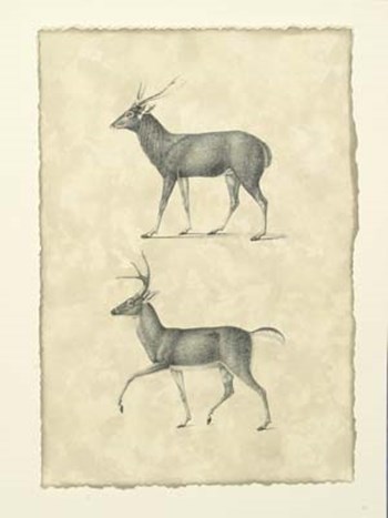 Vintage Deer II art print