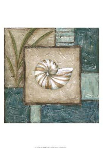 Large Shell Montage I by Chariklia Zarris art print