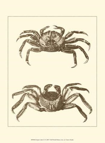 Sepia Crabs II art print