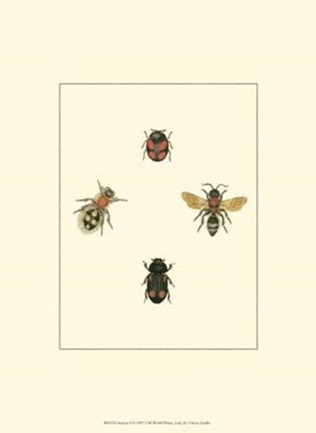 Insecte I art print