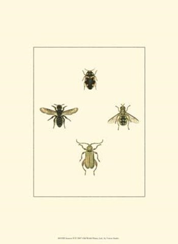 Insecte II art print